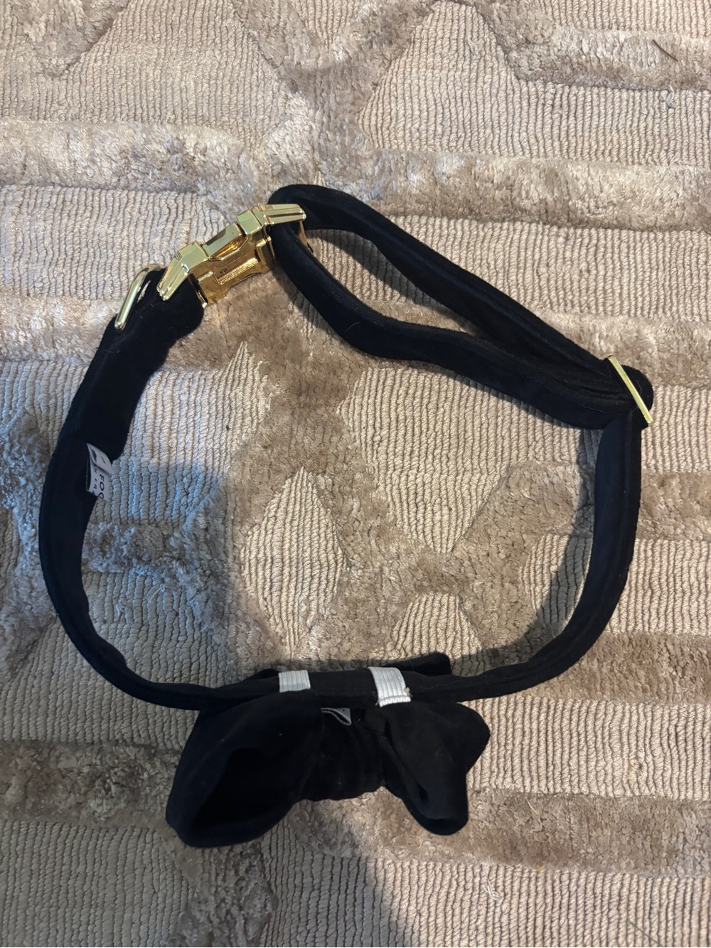 Velvet dog collar size large
